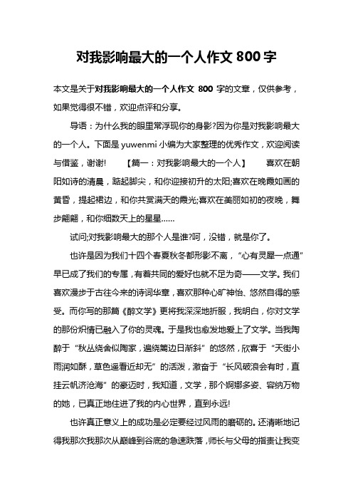 对我影响最大的一个人作文800字