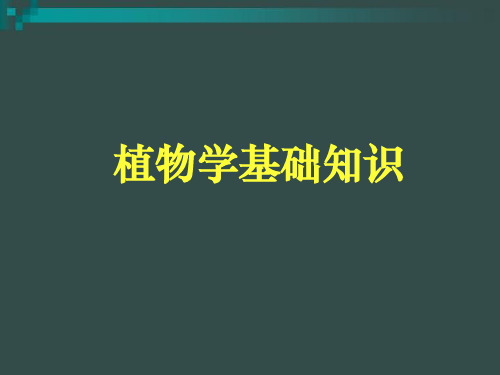 3软质景观设计-植物学基础知识(新)   中国美院植物配置教学课件