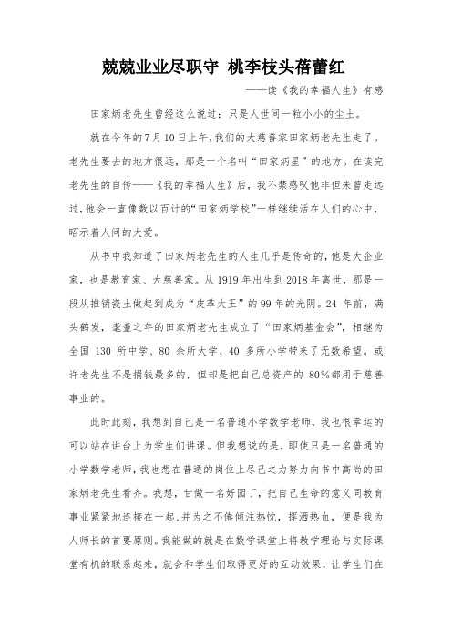 小学数学老师  我的幸福人生读后感