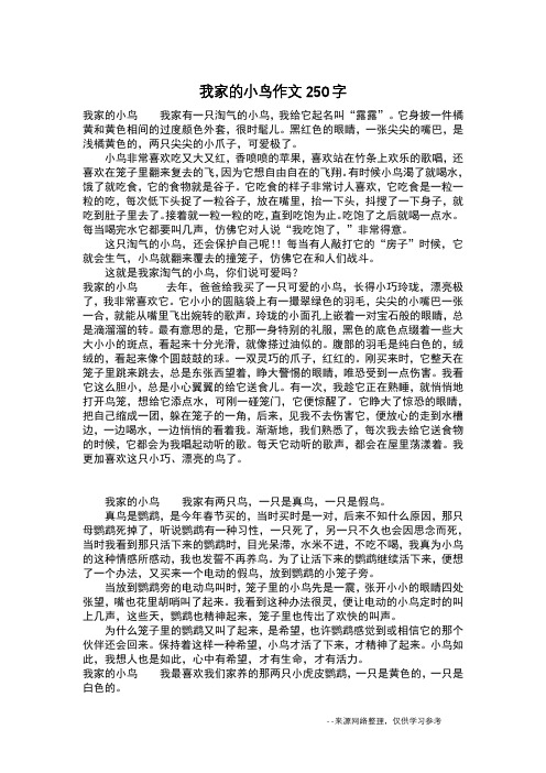 我家的小鸟作文250字_作文250字