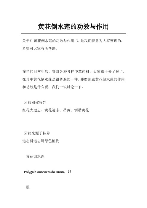 黄花倒水莲的功效与作用