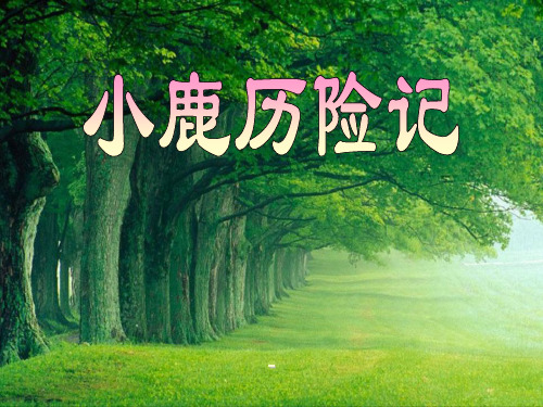幼儿大班语言课件《小鹿历险记》ppt课件