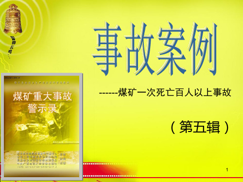 事故案例分析课件幻灯片5-5