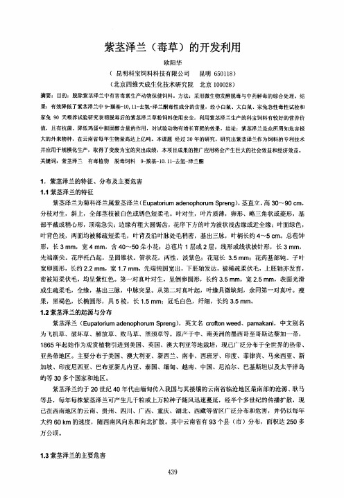 紫茎泽兰(毒草)的开发利用