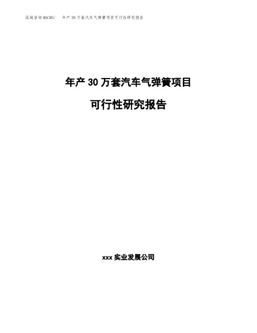 年产30万套汽车气弹簧项目可行性研究报告