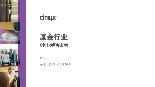 Citrix 基金行业Citrix解决方案v1.0