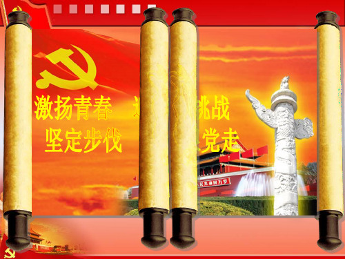 五四表彰 总PPT