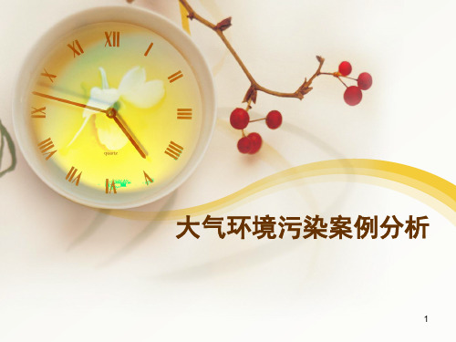 大气污染案例分析(课堂PPT)