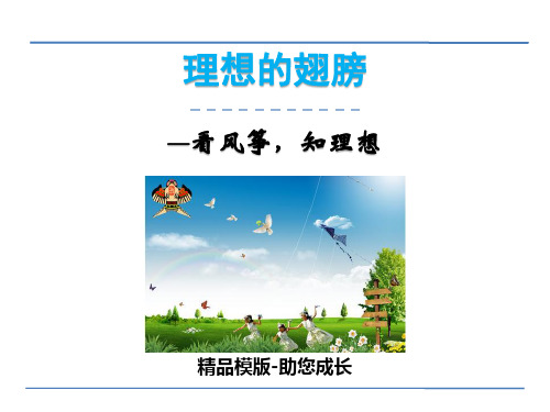 理想的翅膀-PPT课件 