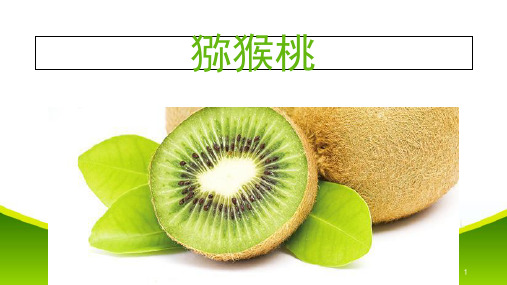 猕猴桃栽培管理及病虫害防治 ppt课件