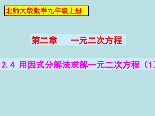 北师大版九年级数学上册第二章第4节用因式分解法解一元二次方程(共19张PPT)