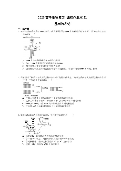 2020高考生物复习 课后作业本21 基因的表达(含解析)
