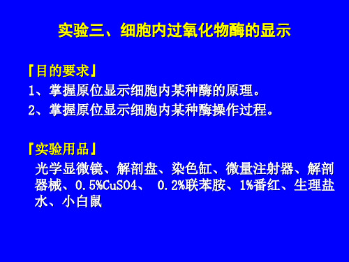 实验三、细胞内过氧化物酶的显示『目的要求』1、掌握原位