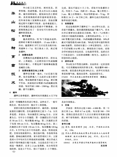 华山松播种育苗技术