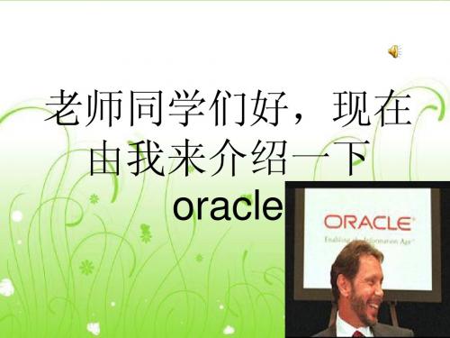 介绍oracle