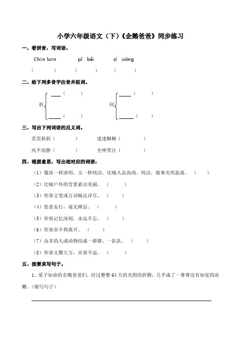 西师大版小学六年级语文(下)《企鹅爸爸》同步练习