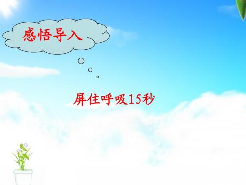 3.2.5人体与外界的气体交换 课件 济南版七年级下册