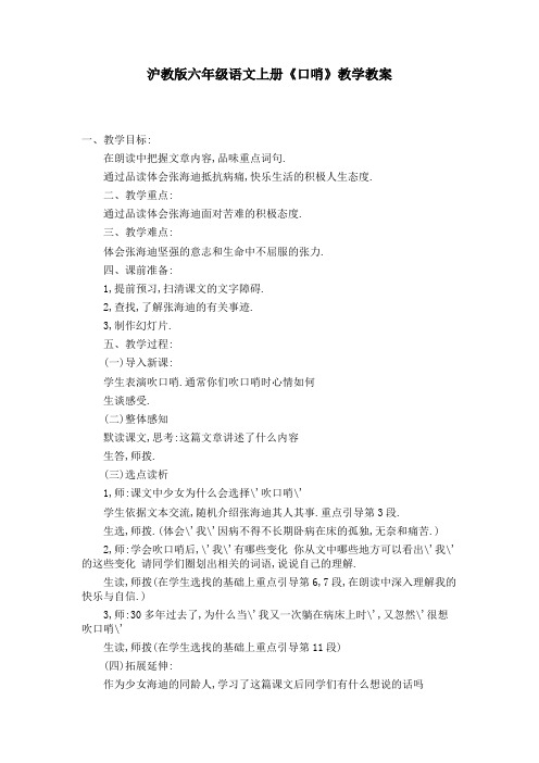 沪教版六年级语文上册《口哨》教学教案 
