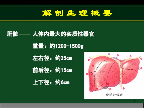 原发性肝癌病人的护理  ppt课件