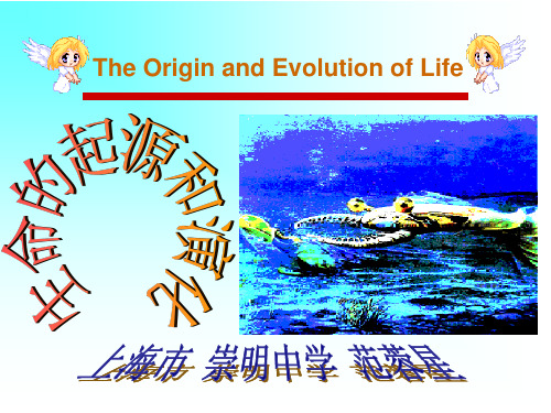 生命的起源课件