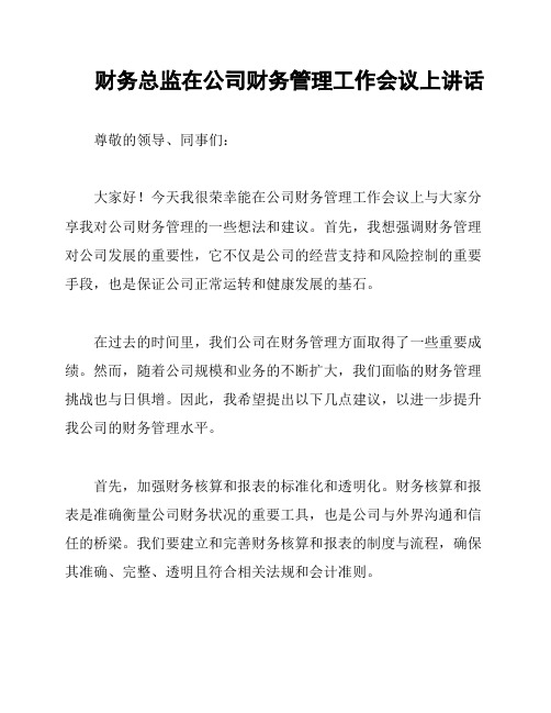 财务总监在公司财务管理工作会议上讲话