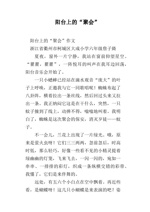 阳台上的“聚会”