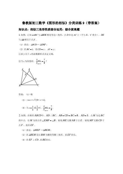 鲁教版初三数学《图形的相似》分类训练9(带答案)