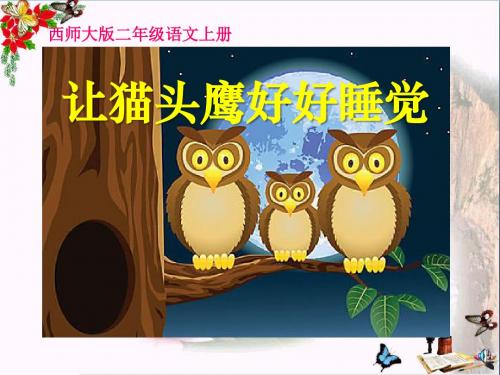让猫头鹰好好睡觉 PPT优秀课件2