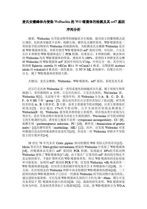麦氏安瘿蜂体内侵染Wolbachia的WO噬菌体的检测及其orf7基因序列分析