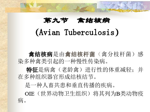 《禽病学》课件之禽结核病