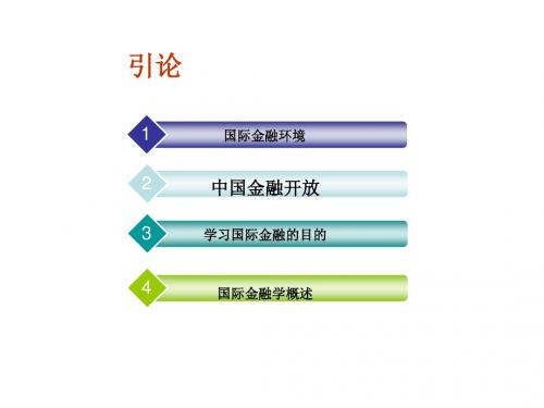 0国际金融0(导论)