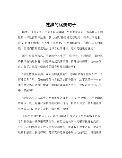 楚辞的优美句子