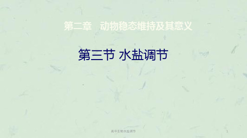 高中生物水盐调节课件