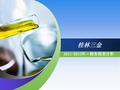 桂林三金财务报表分析
