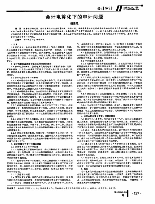 会计电算化下的审计问题