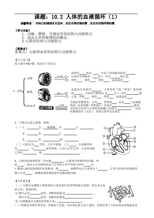 苏教版七年级下册生物-《人体的血液循环》复习导学案1