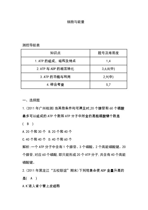 3.1细胞与能量每课一练浙科版必修一