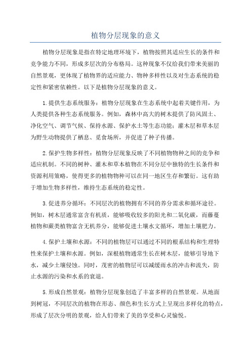 植物分层现象的意义