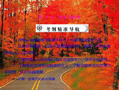 中考化学复习资料 第16讲 溶液 溶解课件