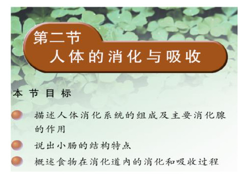 苏教版七下4.9.2人体的消化和吸收 课件(共28张PPT)