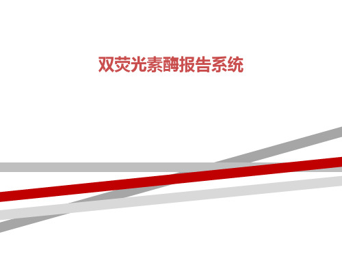 双荧光素酶系统实验操作步骤及方法_.ppt