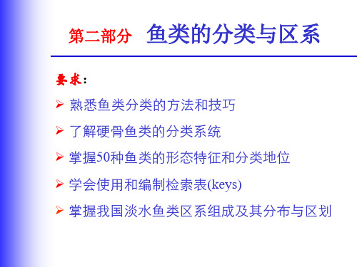 7-2鱼类分类的基本知识
