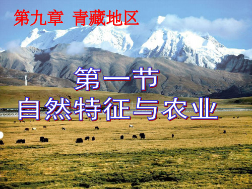 第九章青藏地区第一节-自然特征与农业