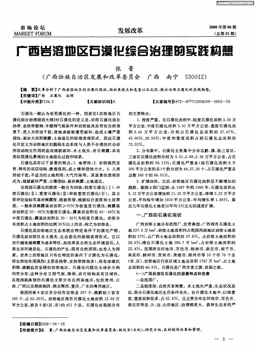 广西岩溶地区石漠化综合治理的实践构想
