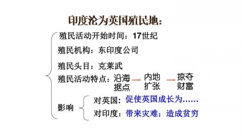 第21课印度的殖民化和印度人民的抗英斗争