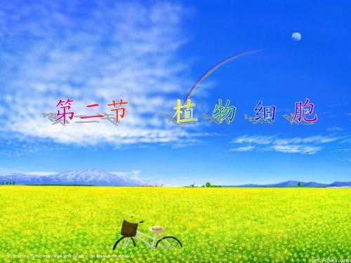 人教版七年级初一上册生物《观察植物细胞PPT课件》
