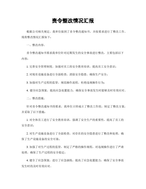 责令整改情况汇报