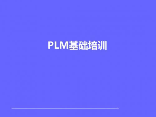 PLM基础培训课件PPT(共 99张)