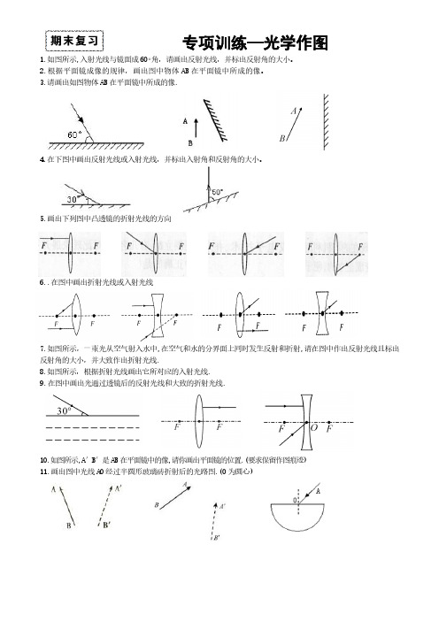 专项训练—光学作图