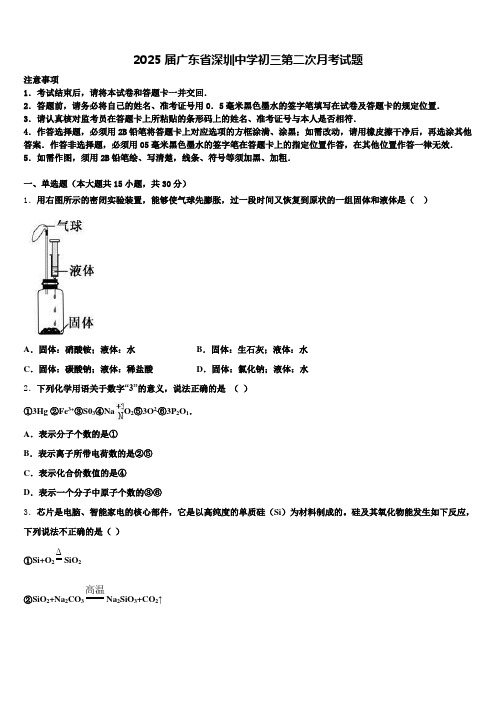 2025届广东省深圳中学初三第二次月考试题含解析